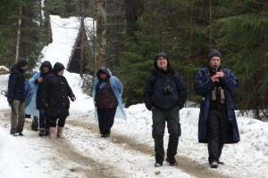 По дорозі на озеро Синевир, Закарпаття